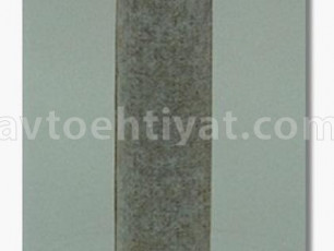 FLEETGUARD af25425 hava filteri