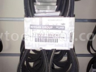 Nissan Xtrel remeni