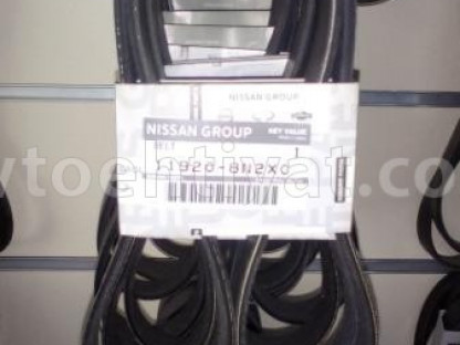 Nissan Xtrel remeni