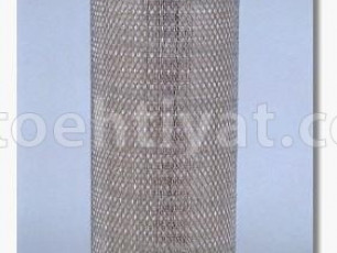 FLEETGUARD af25219 hava filteri