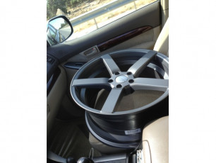 Vossen