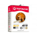 TOTACHİ